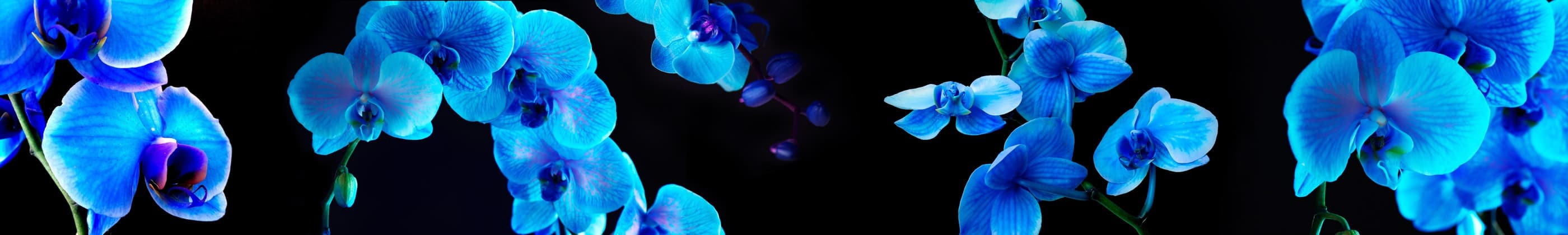 <span  class="uc_style_uc_tiles_grid_image_elementor_uc_items_attribute_title" style="color:#ffffff;">skinali-7198</span>