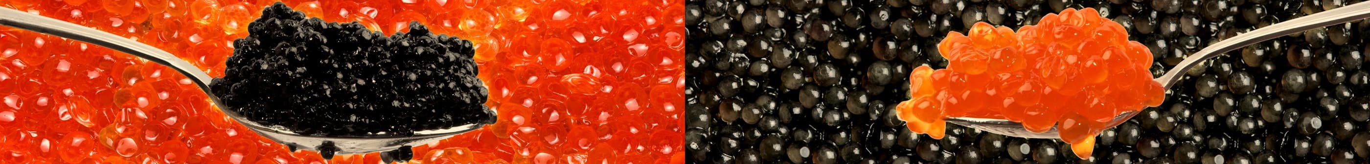 <span  class="uc_style_uc_tiles_grid_image_elementor_uc_items_attribute_title" style="color:#ffffff;">skinali-7346</span>