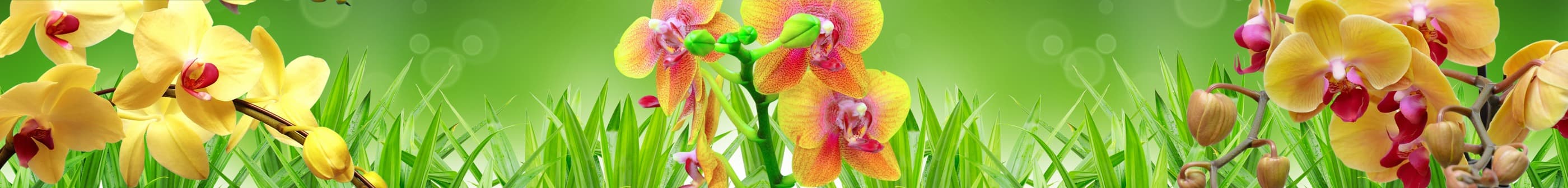 <span  class="uc_style_uc_tiles_grid_image_elementor_uc_items_attribute_title" style="color:#ffffff;">skinali-7438</span>