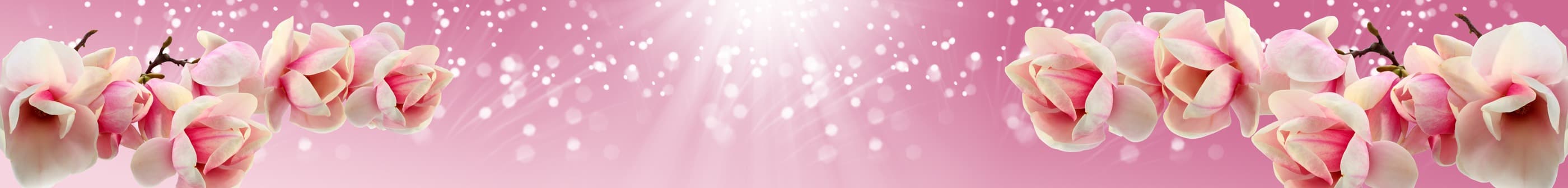 <span  class="uc_style_uc_tiles_grid_image_elementor_uc_items_attribute_title" style="color:#ffffff;">skinali-7440</span>