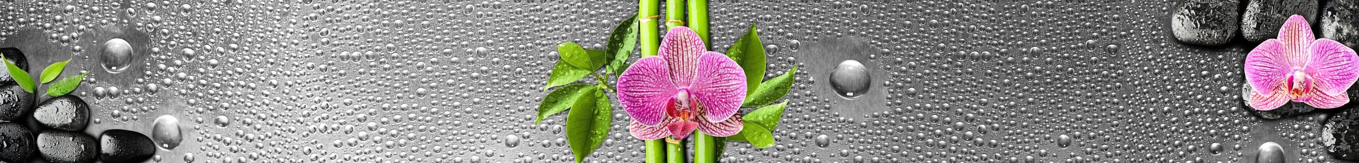 <span  class="uc_style_uc_tiles_grid_image_elementor_uc_items_attribute_title" style="color:#ffffff;">skinali-7441</span>