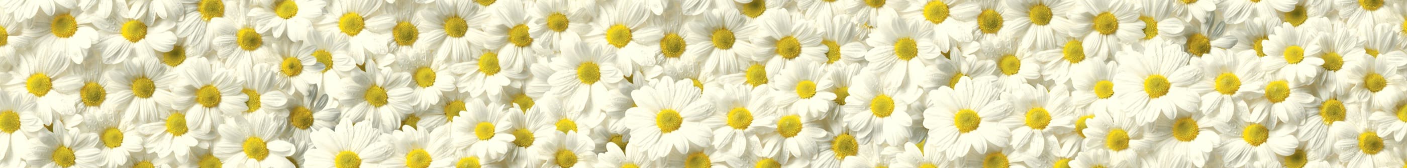 <span  class="uc_style_uc_tiles_grid_image_elementor_uc_items_attribute_title" style="color:#ffffff;">skinali-7444</span>