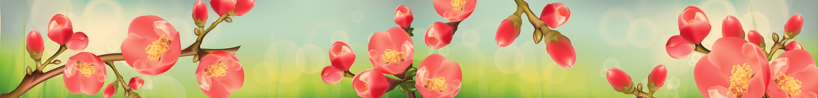 <span  class="uc_style_uc_tiles_grid_image_elementor_uc_items_attribute_title" style="color:#ffffff;">skinali-7452</span>