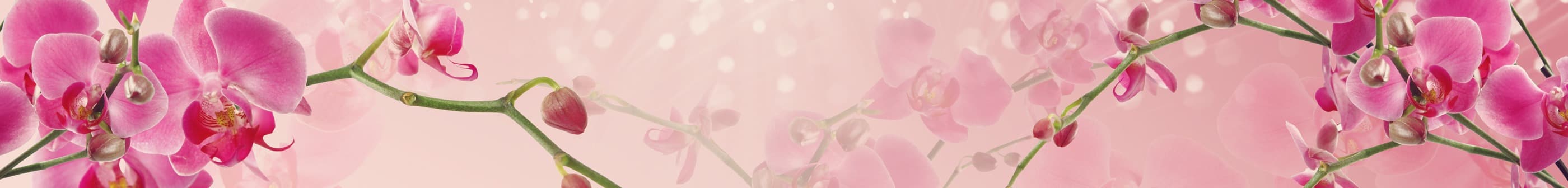 <span  class="uc_style_uc_tiles_grid_image_elementor_uc_items_attribute_title" style="color:#ffffff;">skinali-7455</span>
