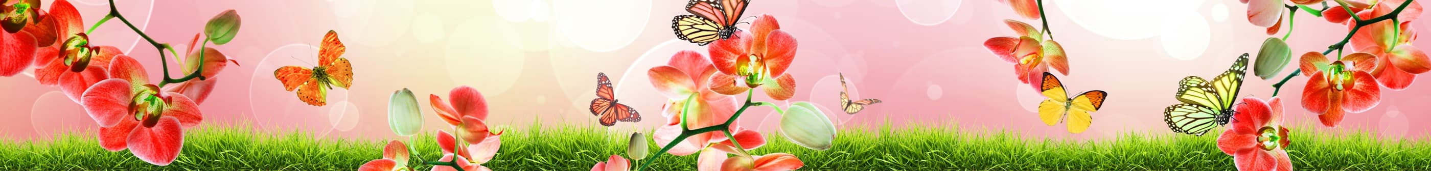 <span  class="uc_style_uc_tiles_grid_image_elementor_uc_items_attribute_title" style="color:#ffffff;">skinali-7456</span>