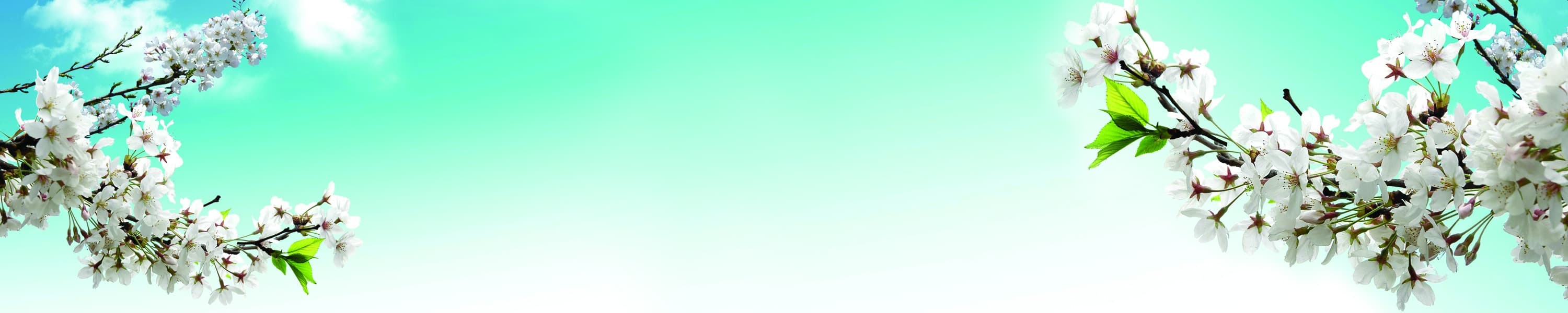 <span  class="uc_style_uc_tiles_grid_image_elementor_uc_items_attribute_title" style="color:#ffffff;">skinali-7528</span>