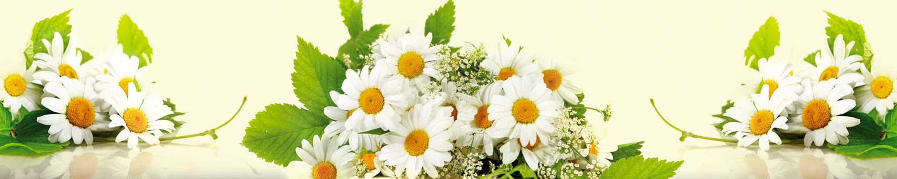 <span  class="uc_style_uc_tiles_grid_image_elementor_uc_items_attribute_title" style="color:#ffffff;">skinali-7547</span>