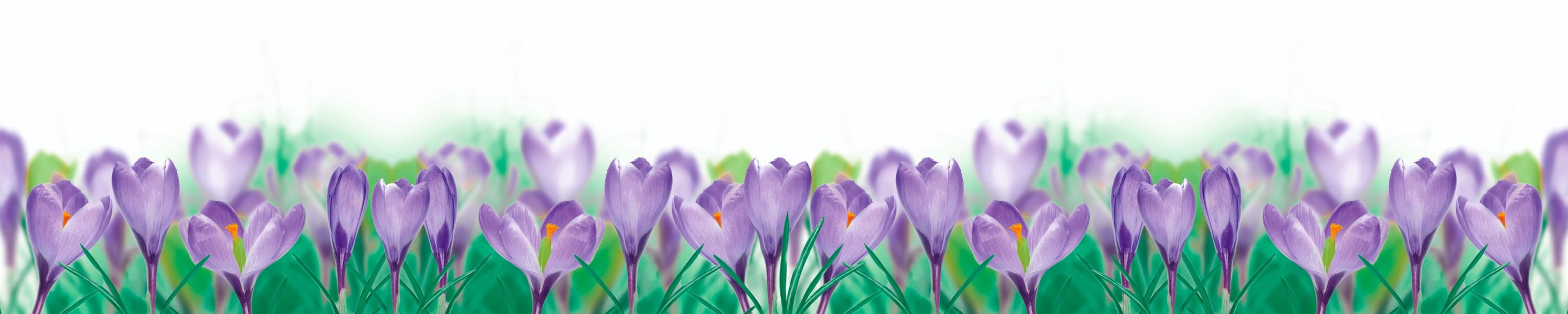 <span  class="uc_style_uc_tiles_grid_image_elementor_uc_items_attribute_title" style="color:#ffffff;">skinali-7551</span>