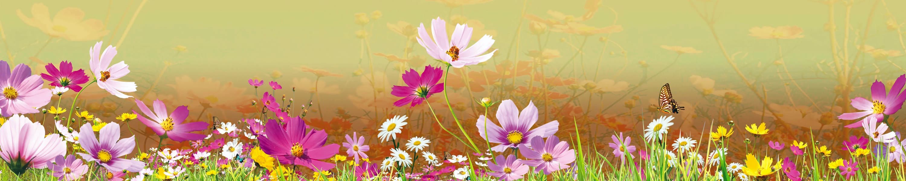 <span  class="uc_style_uc_tiles_grid_image_elementor_uc_items_attribute_title" style="color:#ffffff;">skinali-7552</span>