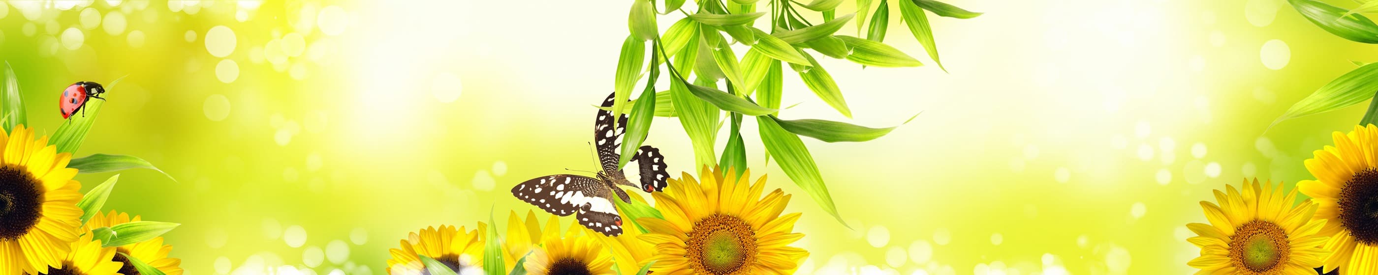 <span  class="uc_style_uc_tiles_grid_image_elementor_uc_items_attribute_title" style="color:#ffffff;">skinali-7561</span>