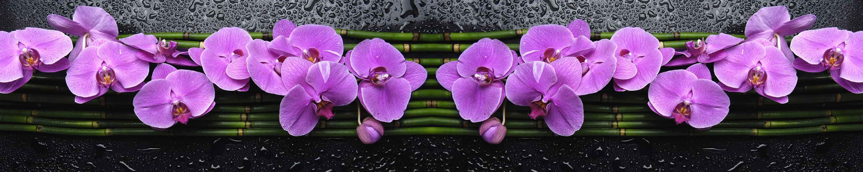 <span  class="uc_style_uc_tiles_grid_image_elementor_uc_items_attribute_title" style="color:#ffffff;">skinali-7563</span>