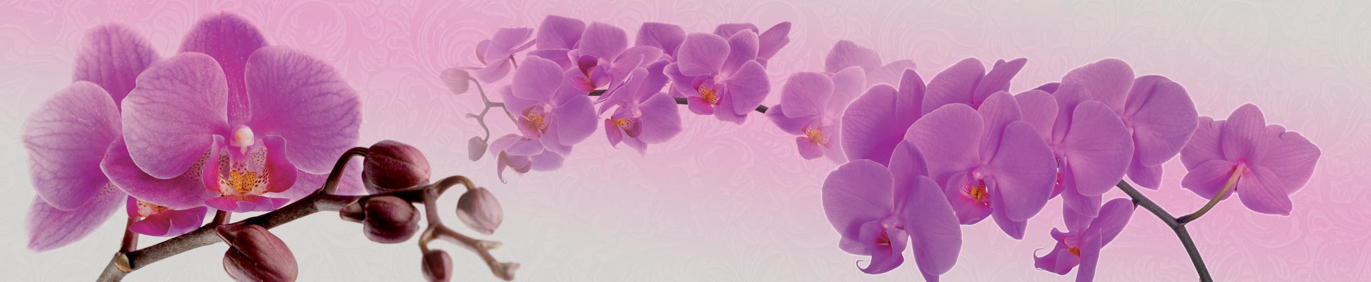 <span  class="uc_style_uc_tiles_grid_image_elementor_uc_items_attribute_title" style="color:#ffffff;">skinali-7581</span>