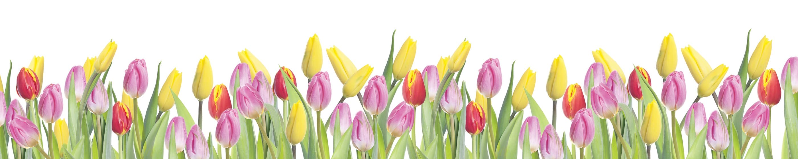 <span  class="uc_style_uc_tiles_grid_image_elementor_uc_items_attribute_title" style="color:#ffffff;">skinali-7594</span>
