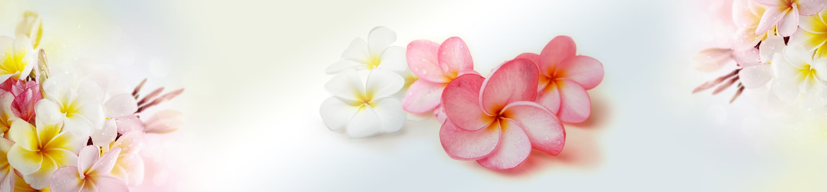 <span  class="uc_style_uc_tiles_grid_image_elementor_uc_items_attribute_title" style="color:#ffffff;">skinali-7599</span>