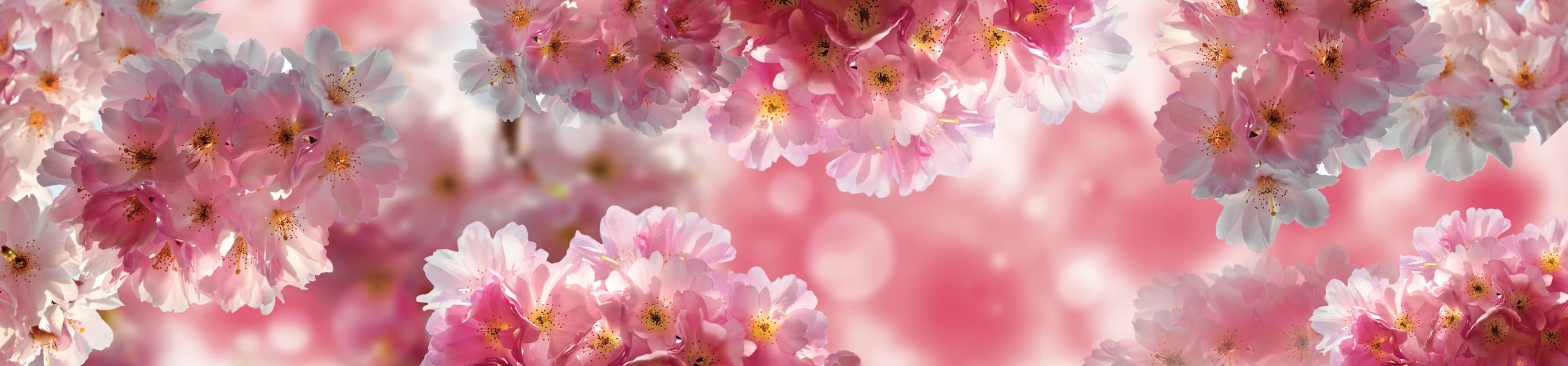<span  class="uc_style_uc_tiles_grid_image_elementor_uc_items_attribute_title" style="color:#ffffff;">skinali-7614</span>