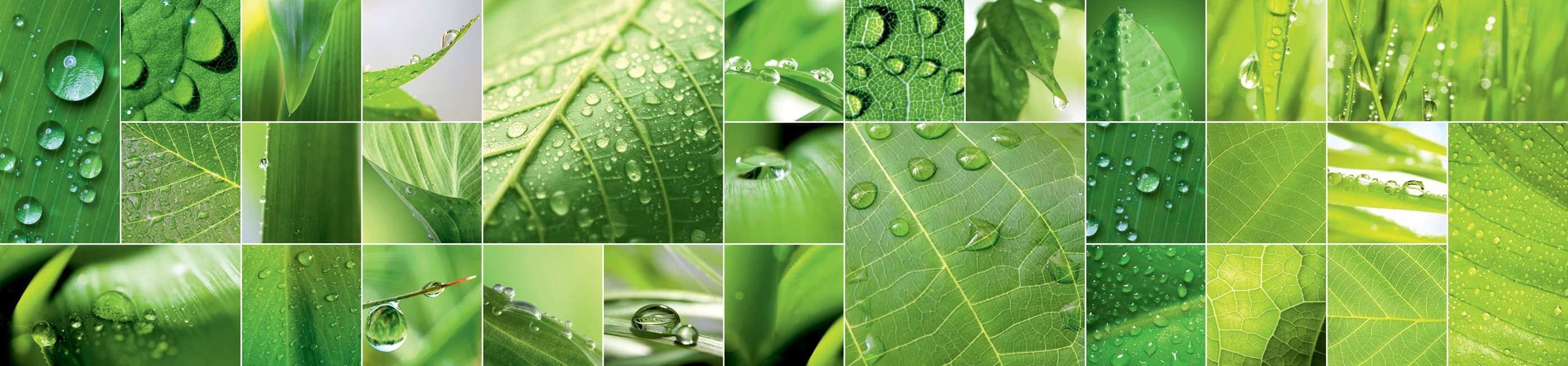 <span  class="uc_style_uc_tiles_grid_image_elementor_uc_items_attribute_title" style="color:#ffffff;">skinali-7745</span>