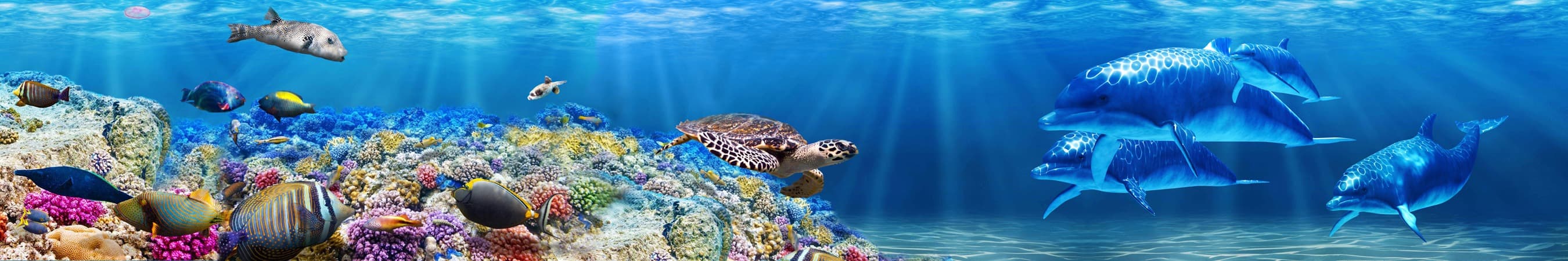 <span  class="uc_style_uc_tiles_grid_image_elementor_uc_items_attribute_title" style="color:#ffffff;">skinali-7771</span>