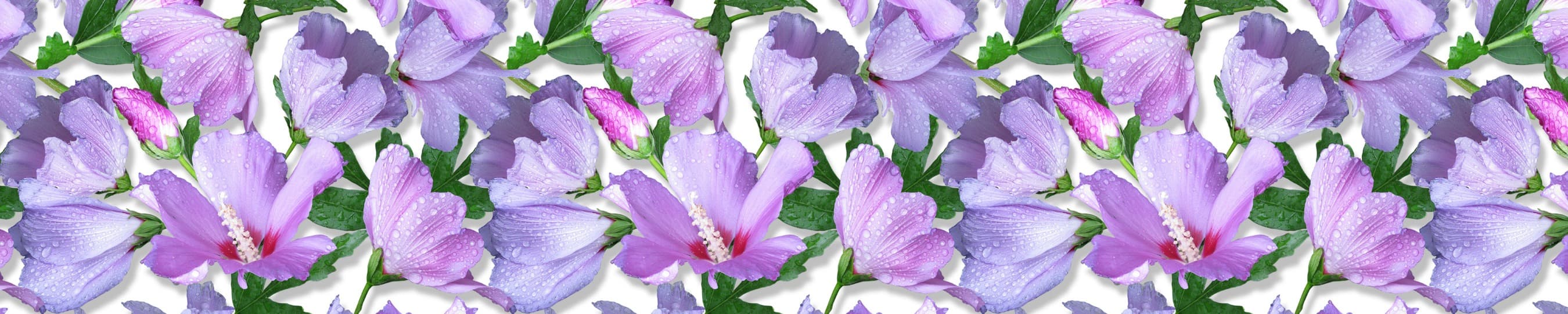 <span  class="uc_style_uc_tiles_grid_image_elementor_uc_items_attribute_title" style="color:#ffffff;">skinali-7824</span>