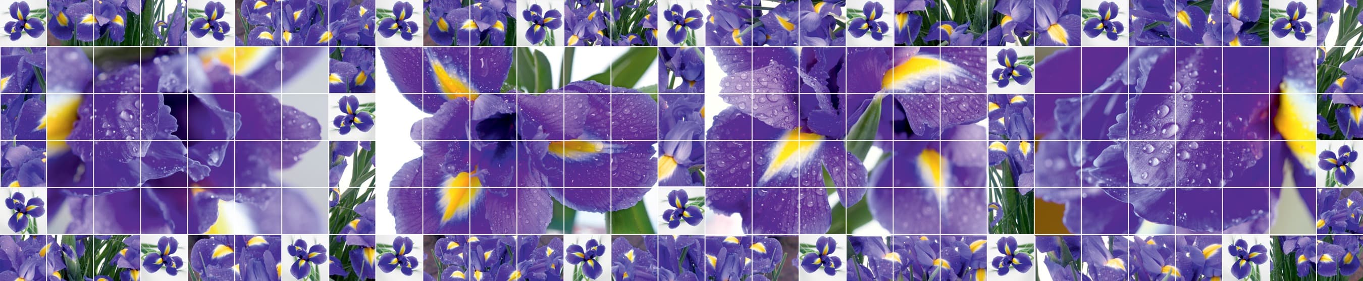 <span  class="uc_style_uc_tiles_grid_image_elementor_uc_items_attribute_title" style="color:#ffffff;">skinali-7855</span>