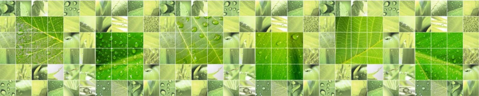 <span  class="uc_style_uc_tiles_grid_image_elementor_uc_items_attribute_title" style="color:#ffffff;">skinali-7860</span>