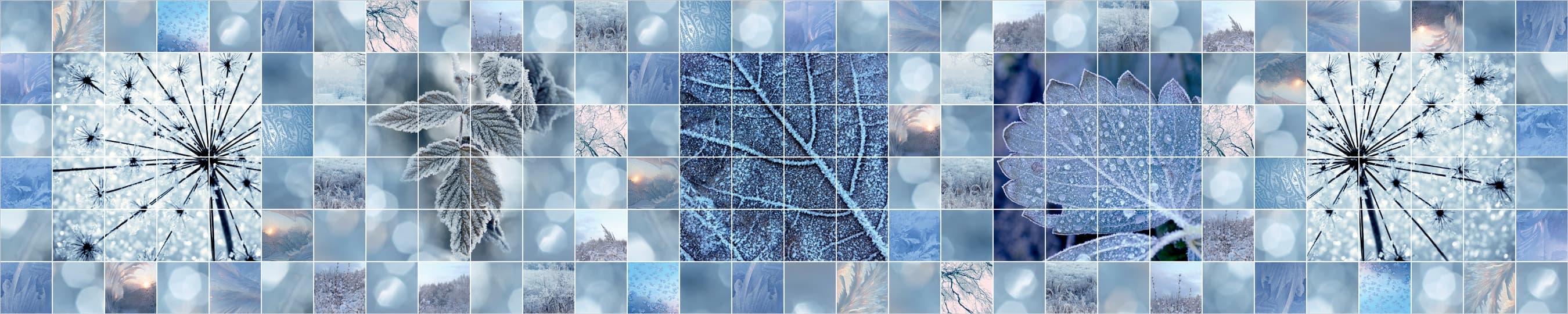 <span  class="uc_style_uc_tiles_grid_image_elementor_uc_items_attribute_title" style="color:#ffffff;">skinali-7872</span>