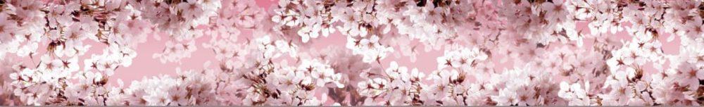<span  class="uc_style_uc_tiles_grid_image_elementor_uc_items_attribute_title" style="color:#ffffff;">skinali-7971</span>