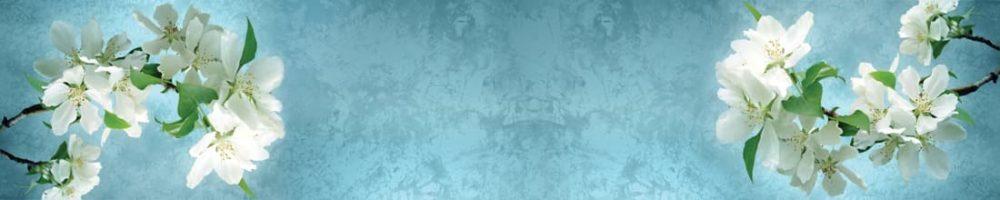 <span  class="uc_style_uc_tiles_grid_image_elementor_uc_items_attribute_title" style="color:#ffffff;">skinali-8059</span>