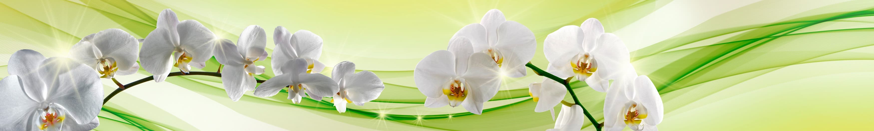 <span  class="uc_style_uc_tiles_grid_image_elementor_uc_items_attribute_title" style="color:#ffffff;">skinali-8091</span>