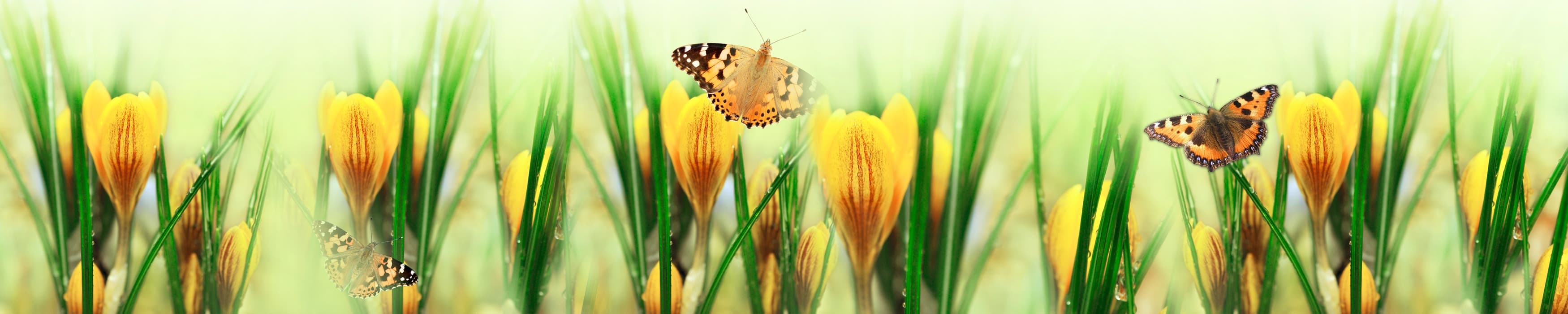 <span  class="uc_style_uc_tiles_grid_image_elementor_uc_items_attribute_title" style="color:#ffffff;">skinali-8097</span>