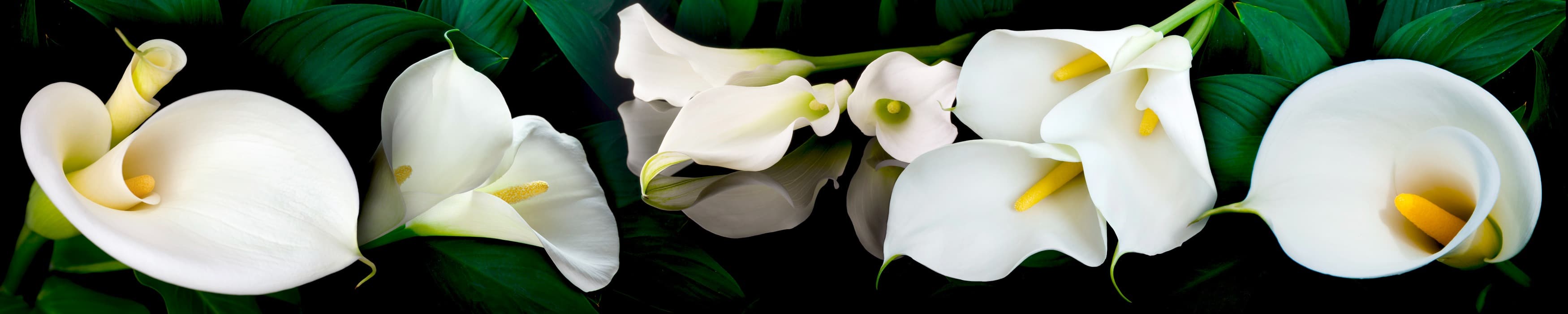 <span  class="uc_style_uc_tiles_grid_image_elementor_uc_items_attribute_title" style="color:#ffffff;">skinali-8102</span>