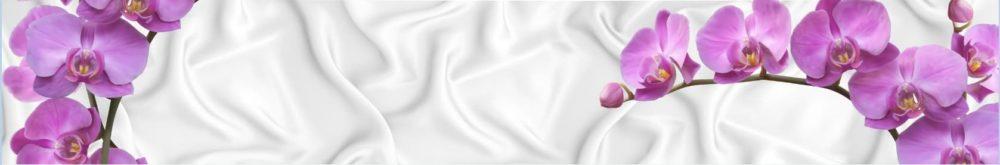 <span  class="uc_style_uc_tiles_grid_image_elementor_uc_items_attribute_title" style="color:#ffffff;">skinali-8168</span>