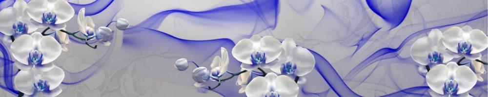 <span  class="uc_style_uc_tiles_grid_image_elementor_uc_items_attribute_title" style="color:#ffffff;">skinali-8265</span>