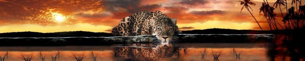 <span  class="uc_style_uc_tiles_grid_image_elementor_uc_items_attribute_title" style="color:#ffffff;">skinali-8292</span>