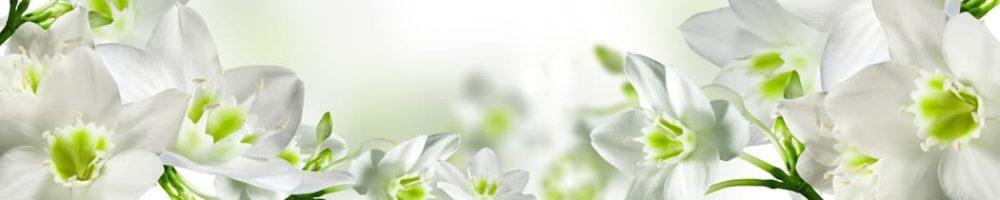 <span  class="uc_style_uc_tiles_grid_image_elementor_uc_items_attribute_title" style="color:#ffffff;">skinali-8301</span>