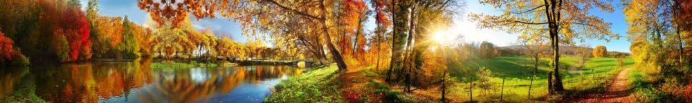 <span  class="uc_style_uc_tiles_grid_image_elementor_uc_items_attribute_title" style="color:#ffffff;">skinali-8453</span>