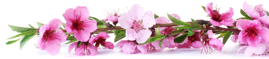<span  class="uc_style_uc_tiles_grid_image_elementor_uc_items_attribute_title" style="color:#ffffff;">skinali-8522</span>