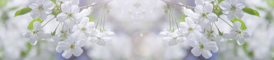 <span  class="uc_style_uc_tiles_grid_image_elementor_uc_items_attribute_title" style="color:#ffffff;">skinali-8526</span>