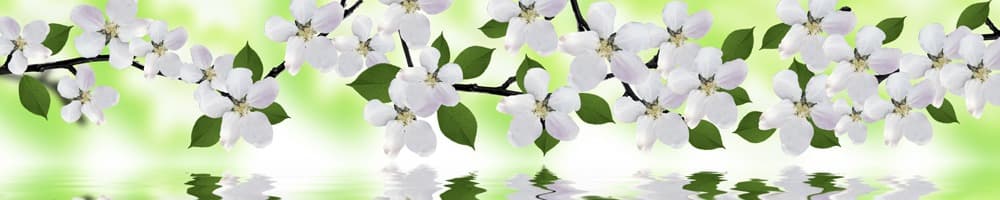 <span  class="uc_style_uc_tiles_grid_image_elementor_uc_items_attribute_title" style="color:#ffffff;">skinali-8669</span>