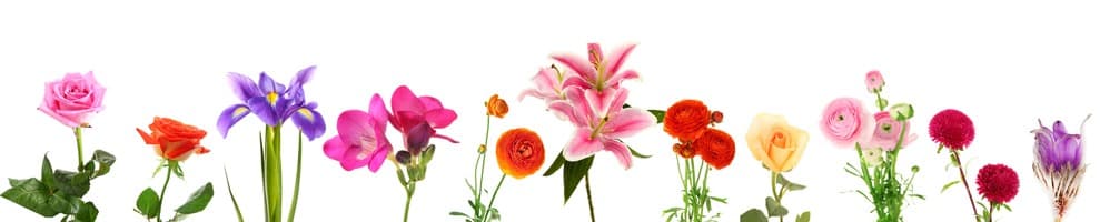 <span  class="uc_style_uc_tiles_grid_image_elementor_uc_items_attribute_title" style="color:#ffffff;">skinali-8745</span>