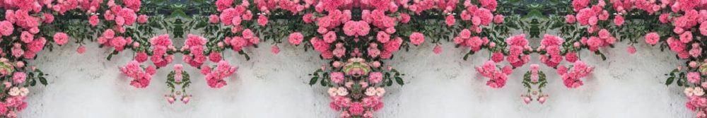 <span  class="uc_style_uc_tiles_grid_image_elementor_uc_items_attribute_title" style="color:#ffffff;">skinali-8775</span>