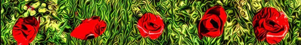 <span  class="uc_style_uc_tiles_grid_image_elementor_uc_items_attribute_title" style="color:#ffffff;">skinali-8805</span>