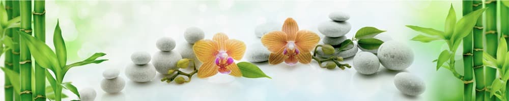 <span  class="uc_style_uc_tiles_grid_image_elementor_uc_items_attribute_title" style="color:#ffffff;">skinali-8808</span>