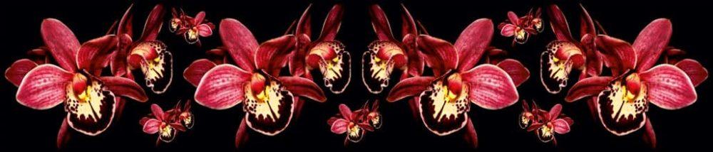 <span  class="uc_style_uc_tiles_grid_image_elementor_uc_items_attribute_title" style="color:#ffffff;">skinali-9020</span>