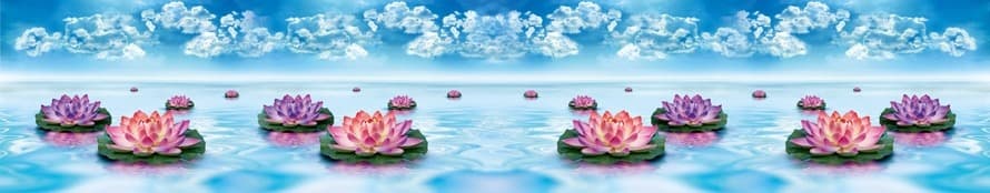 <span  class="uc_style_uc_tiles_grid_image_elementor_uc_items_attribute_title" style="color:#ffffff;">skinali-9023</span>