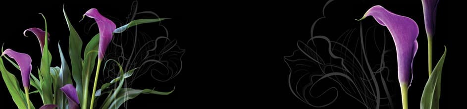 <span  class="uc_style_uc_tiles_grid_image_elementor_uc_items_attribute_title" style="color:#ffffff;">skinali-9050</span>