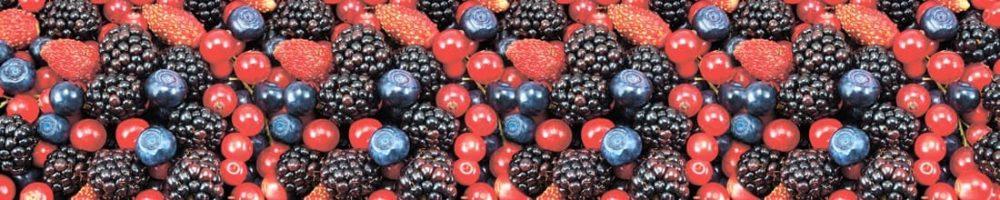 <span  class="uc_style_uc_tiles_grid_image_elementor_uc_items_attribute_title" style="color:#ffffff;">skinali-9176</span>