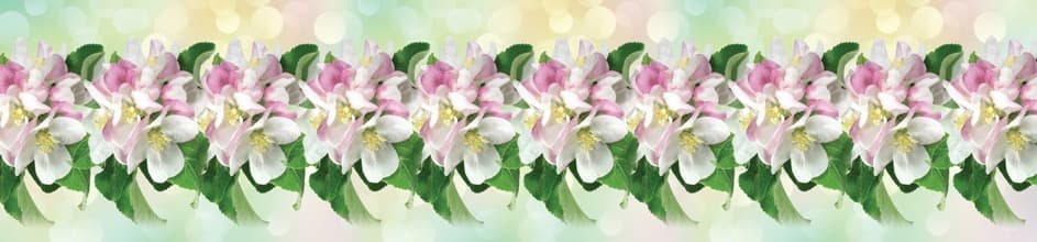 <span  class="uc_style_uc_tiles_grid_image_elementor_uc_items_attribute_title" style="color:#ffffff;">skinali-9282</span>