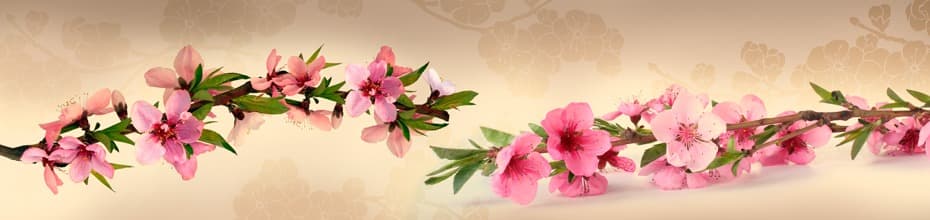 <span  class="uc_style_uc_tiles_grid_image_elementor_uc_items_attribute_title" style="color:#ffffff;">skinali-9288</span>