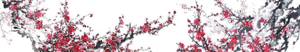<span  class="uc_style_uc_tiles_grid_image_elementor_uc_items_attribute_title" style="color:#ffffff;">skinali-9295</span>
