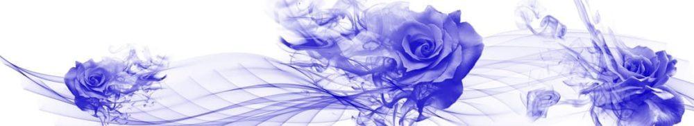 <span  class="uc_style_uc_tiles_grid_image_elementor_uc_items_attribute_title" style="color:#ffffff;">skinali-9400</span>